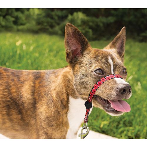  PetSafe Gentle Leader Chic Head Collar