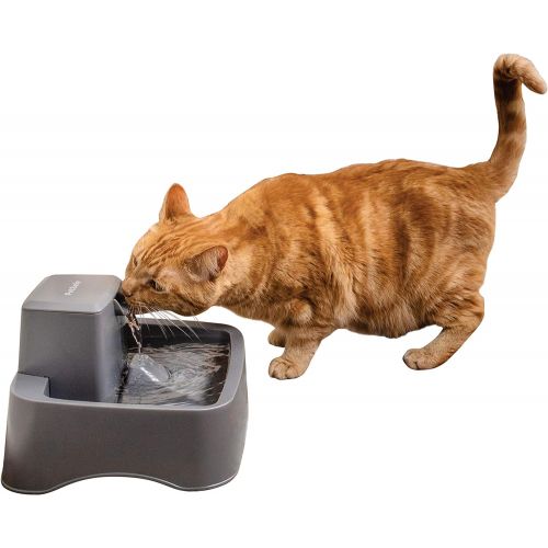  PetSafe Drinkwell Cat and Dog Water Fountain - Platinum, 1/2 or 1 Gallon Pet Drinking Fountain - 64 oz, 128 oz or 168 oz