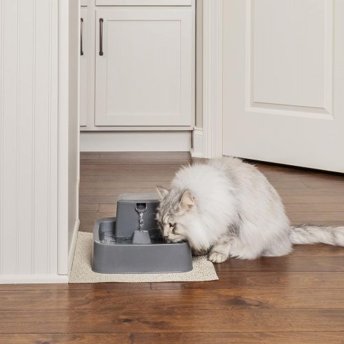  PetSafe Drinkwell Cat and Dog Water Fountain - Platinum, 1/2 or 1 Gallon Pet Drinking Fountain - 64 oz, 128 oz or 168 oz