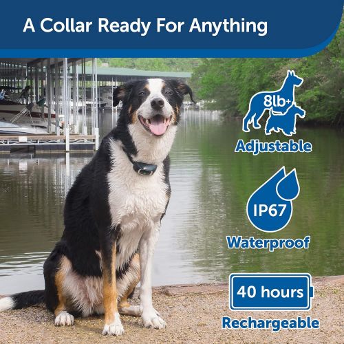  PetSafe Remote Trainer  Waterproof, Rechargeable with Tone / Vibration / 15 Levels of Static Stimulation for Dogs  100, 300, 600 and 900 Yard Range Available  Lite or Standard T