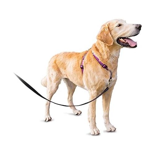  PetSafe 3 in 1 Harness - No-Pull Dog Harness - for X-Small, Small, Medium and Large Breeds - from the Makers of the Easy Walk Harness