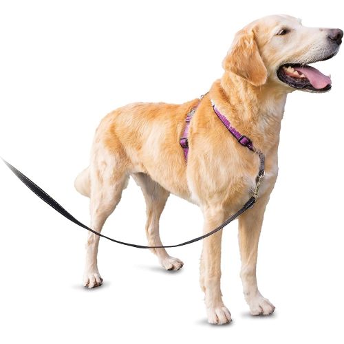  PetSafe 3 in 1 Harness - No-Pull Dog Harness - for X-Small, Small, Medium and Large Breeds - from the Makers of the Easy Walk Harness