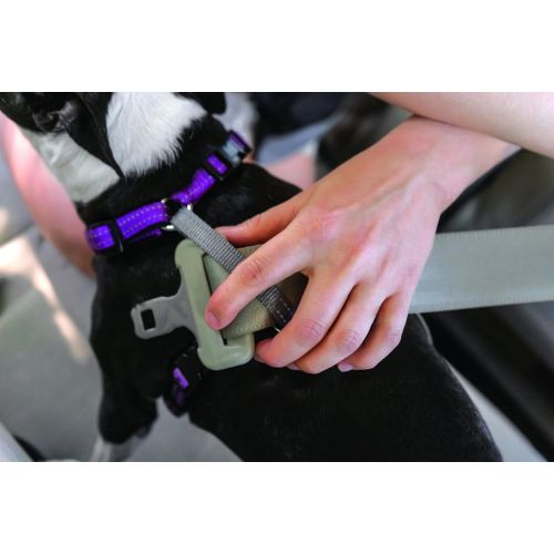  PetSafe 3 in 1 Harness - No-Pull Dog Harness - for X-Small, Small, Medium and Large Breeds - from the Makers of the Easy Walk Harness