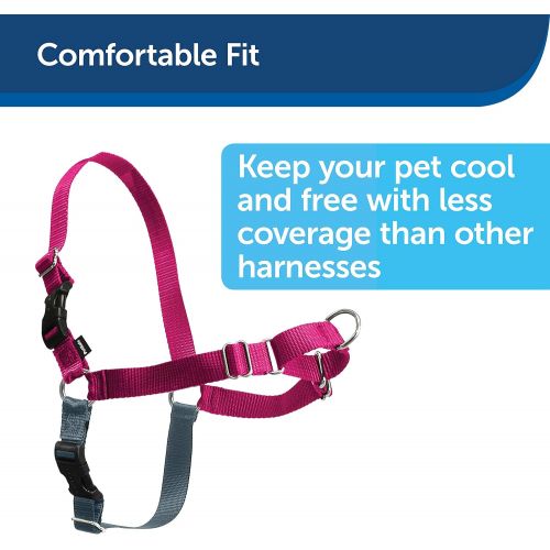  PetSafe Easy Walk Dog Harness, No Pull Dog Harness, Deep Purple/Black, Small/Medium