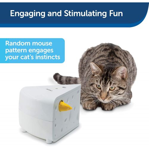  PetSafe Electronic Cat Toys, Automatic Cheese and Peek-A-Bird, Hide and Seek Teaser Toy, Interactive Ambush Bird and Mouse Hunt, Motion Activated Fun for Kittens