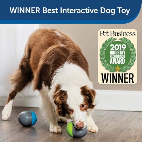 PetSafe Ricochet Electronic Dog Toys, Interactive Sound Game for Pets, PTY00-16416