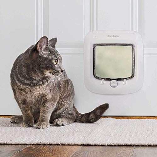  PetSafe Interior and Exterior Cat Door - Microchip RFID Pet Door - 4-Way Locking - Big Cat - Works With up to 40 Programmed Pets