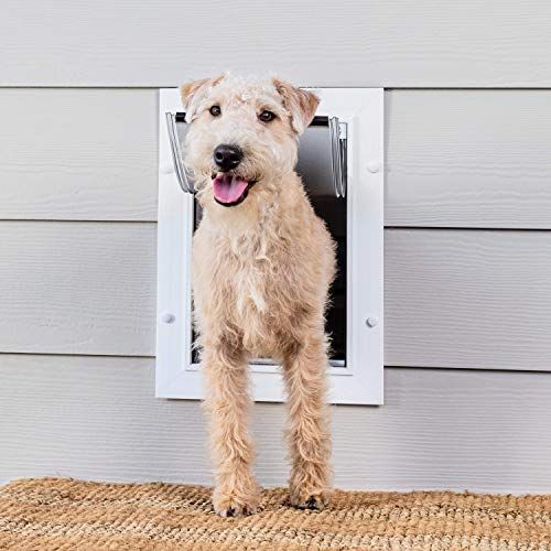  PetSafe Wall Entry Pet Door for Dogs and Cats with Telescoping Tunnel - Small, Medium or Large - White - Made in the USA