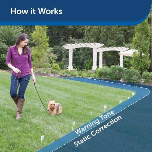  PetSafe Rechargeable In-Ground Fence for Dogs and Cats over 5lb, Waterproof Receiver Collar with Tone and Static Correction