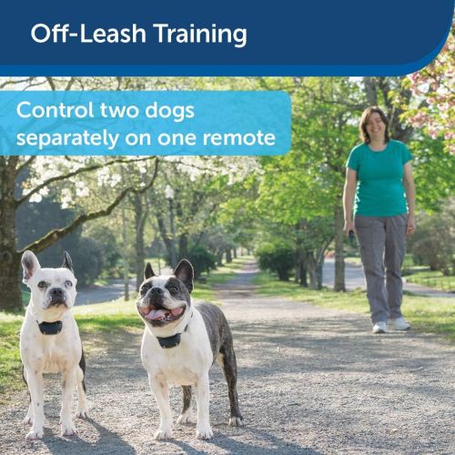  PetSafe Add-A-Dog Remote Trainer, Waterproof, ToneVibration  15 Levels of Static Stimulation for Dog Remote Trainers Over 8 lb.