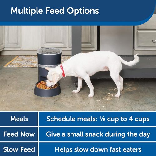  PetSafe Smart Feed Automatic Dog and Cat Feeder, Smartphone, 24-Cups, Wi-Fi Enabled App for iPhone and Android, Award Winning Pet Feeder