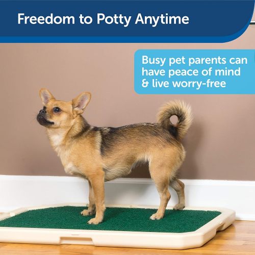  PetSafe Piddle Place IndoorOutdoor Dog Potty, Alternative to Puppy Pads, Indoor Restroom for Dogs