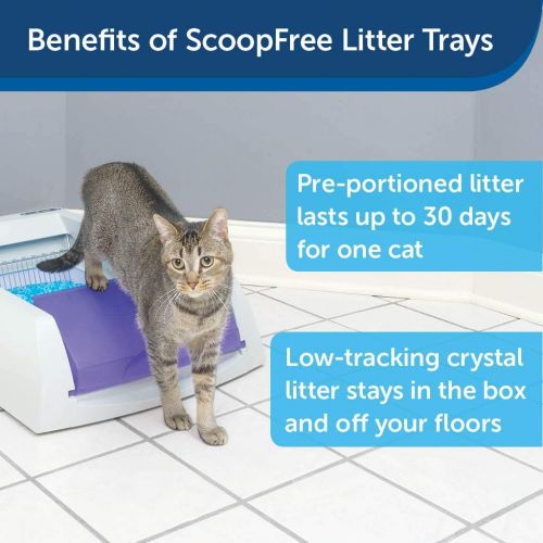  PetSafe ScoopFree Cat Litter Tray Refills with Premium Non-Clumping Crystal Cat Litter, Replacement Trays for the PetSafe ScoopFree Self-Cleaning Cat Litter Box, 6-Pack