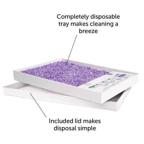  PetSafe ScoopFree Self-Cleaning Cat Litter Box Tray Refills, Non-Clumping Crystal Cat Litter, 3-Pack