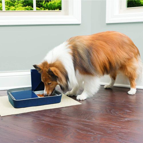  PetSafe Digital 2-Meal Feeder for Dog