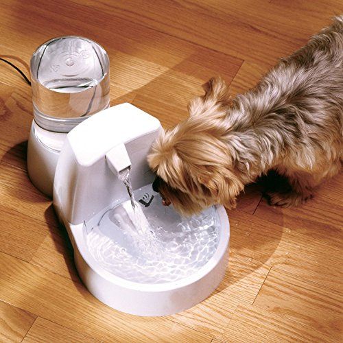  PetSafe Drinkwell Original Cat and Dog Water Fountain, Filtered Water for Your Pet, 50 oz. Water Capacity