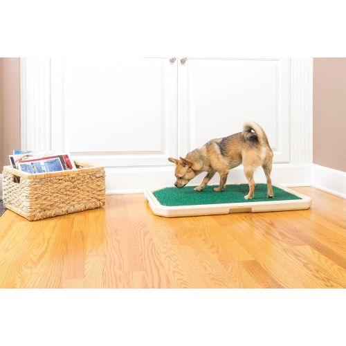  PetSafe Piddle Place Indoor/Outdoor Dog Potty, Alternative to Puppy Pads, Indoor Restroom for Dogs