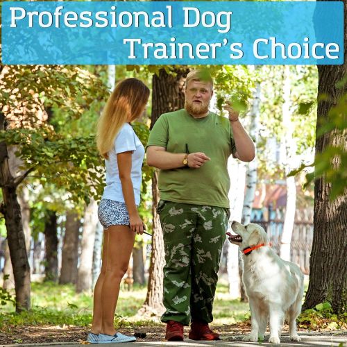  PetSpy M686B Dog Trainer Shock Collar for 2 Dogs with Vibra and Beep, Fully Waterproof Remote Training E-Collars
