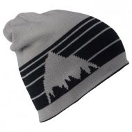 Peterglenn Burton Billboard Beanie (Mens)