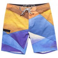 Peterglenn Alpinestars Facet Boardshort (Mens)