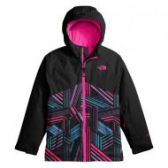 Peterglenn The North Face Brianna Insulated Jacket (Girls)