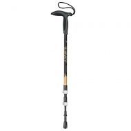 Peterglenn Leki Wanderfreund Speedlock Ski Pole