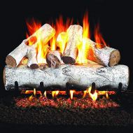 Peterson Real Fyre 24-Inch White Birch Gas Log Set with Vented Natural Gas G4 Burner - Manual Safety Pilot