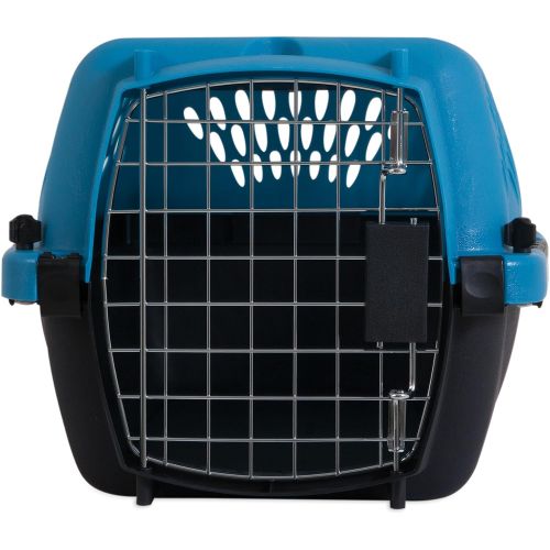  Petmate Aspen Pet Porter Heavy-Duty Pet Carrier