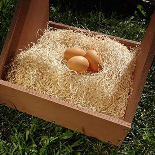  Petmate Precision Pet Excelsior Nesting Pads Chicken Bedding - 13x13 Inches - Package of 10