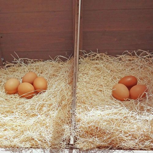  Petmate Precision Pet Excelsior Nesting Pads Chicken Bedding - 13x13 Inches - Package of 10