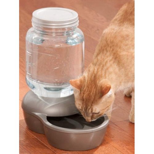  Petmate Mason Replendish Waterer