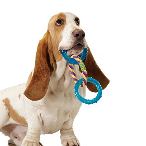  Petstages Orka Dental Links Chew Toy for Dogs