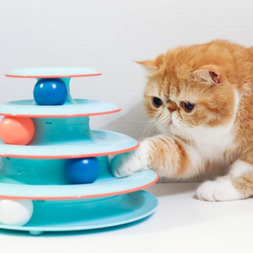  Petstages Chase Meowtain Tracks Cat Toy - 4 Levels of Fun Interactive Play - Circle Track with Moving Balls Satisfies Kitty’s Hunting, Chasing & Exercising Needs