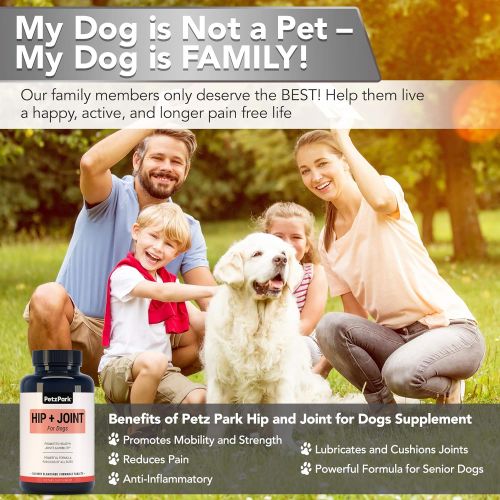  Petz Park Glucosamine for Dogs Chondroitin MSM - Hip and Joint Support for Dogs of All Ages, Breeds and Sizes - Arthritis Pain Relief Formula 800mg - Extend Joint Care Supplement for Dog - 1