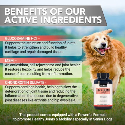  Petz Park Glucosamine for Dogs Chondroitin MSM - Hip and Joint Support for Dogs of All Ages, Breeds and Sizes - Arthritis Pain Relief Formula 800mg - Extend Joint Care Supplement for Dog - 1