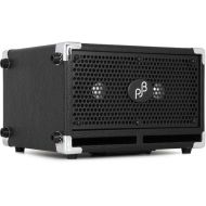 Phil Jones Bass BG-120 Bass Cub Pro 2 x 5-inch 120-watt Bass Combo Amplifier - Black