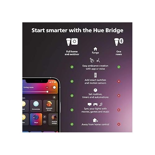 필립스 Philips Hue Outdoor 100W Power Supply Black - Connect Multiple Hue Outdoor Low Voltage Lights up to Total of 100W - 1 Pack - Requires Hue Bridge - Weatherproof