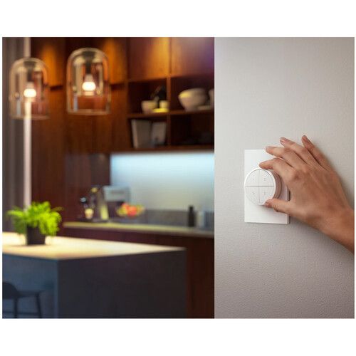 필립스 Philips Hue Tap Dial Switch (White)