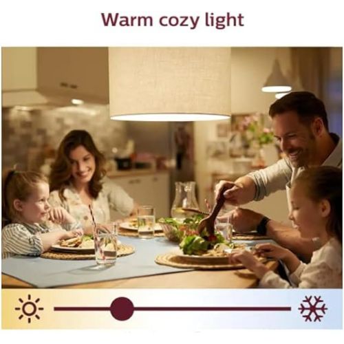 필립스 PHILIPS Smart Wi-Fi Wiz Connected Color and White Dimmable Tunable Light Strip Starter Kit 6.5ft (2M), 25249