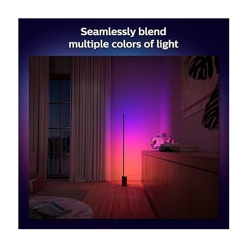 필립스 Philips Hue Gradient Signe Floor Lamp, Compatible with Alexa, Apple HomeKit and Google Assistant, Black + Philips v2 Smart Dimmer Switch and Remote, Smart Home, Philips Hue Smart Lights White