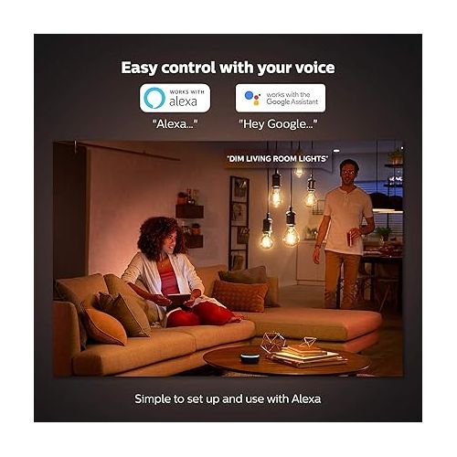 필립스 Philips Hue White Dimmable Filament ST19 LED Smart Vintage Edison Bulb, Bluetooth & Hub Compatible (Hue Hub Optional), Voice Activated with Alexa