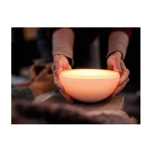 필립스 Philips Hue Go White and Color Portable Dimmable LED Smart Light Table Lamp (Requires Hue Hub, Works with Alexa, HomeKit and Google Assistant), White