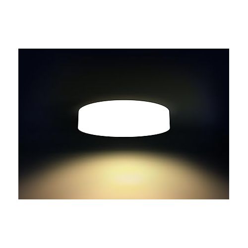 필립스 Philips Hue White Ambiance Fair Dimmable LED Smart Flushmount (Works with Alexa Apple HomeKit, and Google Assistant)