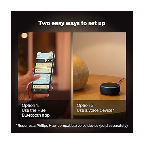 필립스 Philips Hue Being Ceiling Light, Black - White Ambiance, Smart, LED Light - Pack of 1 - Control with Hue App - Compatible with Alexa, Google Assistant, and Apple Homekit