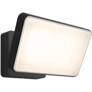 Philips Hue Discover Outdoor Smart Flood Light Fixture, Black - 15W, White and Color Ambiance LED Color-Changing Light - 1 Pack - Requires Hue Bridge - Control with Hue App and Voice - Weatherproof