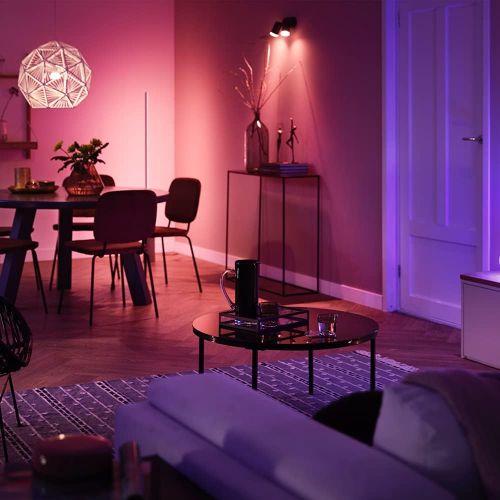 필립스 Philips Hue Single Premium BR30 Smart Bulb Downlight for 5-6 inch recessed cans, 16 million colors (Hue Hub Required, Works with Alexa), Old Version