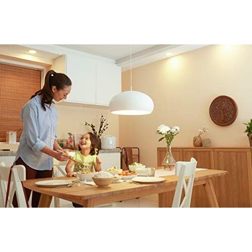 필립스 Philips LED Light Bulb Replaces 100 W E27 Warm White 2700 Kelvin