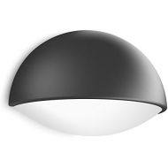 Philips 164079316 Dust Outdoor Wall Light LED