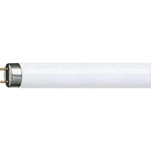 필립스 Philips TL D Super 80 871150063201240 fluorescent lamp fluorescent lamps (36W, T8, G13, A, 440 mA, 42 kWh)