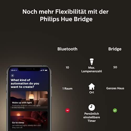 필립스 Philips Hue White Ambiance E27 Single Pack Globe G93 Filament 300 lm